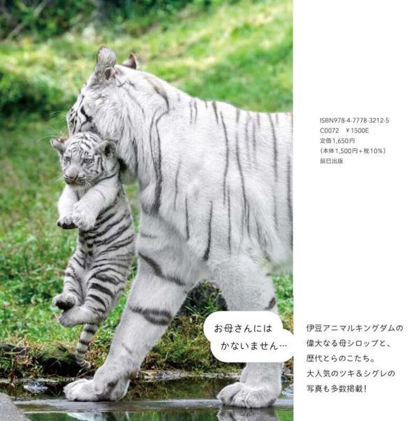 日文書 RIKU 兇猛貓科動物寫真「とらのこ」*5/9發售! 日文書,RIKU,兇猛,貓科,動物,寫真,とらのこ,写真集