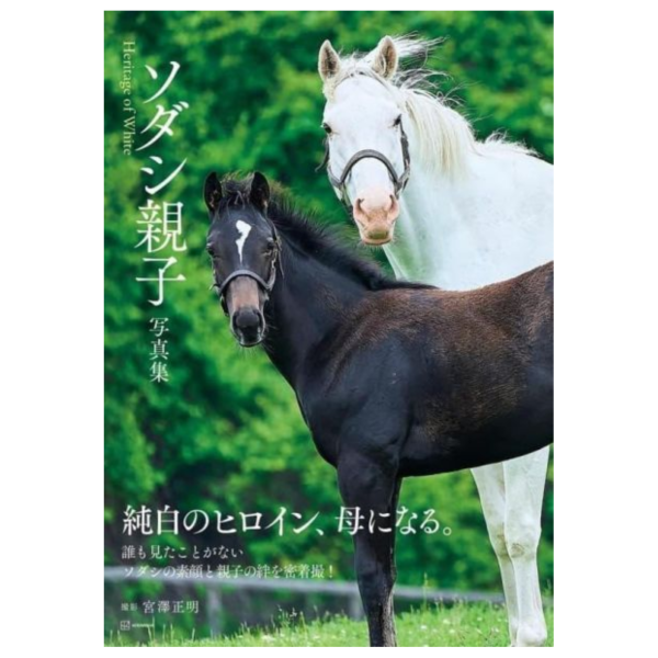 日本賽馬 純淨之輝 春秋分 親子寫真集 「Heritage of White」 *3/31發售! 日本,賽馬,純淨之輝,春秋分,親子,寫真集,Heritage of White,写真集,ソダシ