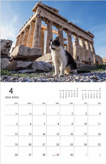 岩合光昭 貓咪 ねこ 2026年壁掛式月曆 *9月中旬發售! 岩合光昭,貓咪,ねこ,2026年,壁掛式,月曆,卓上,週めくり,カレンダー