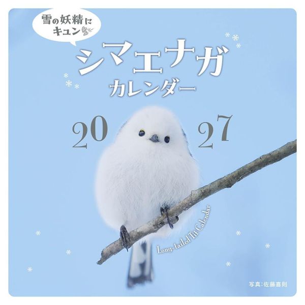 白色精靈 北長尾山雀 壁掛式月曆 掛曆 2027年 雪の妖精にキュン*9/14發售! 白色精靈,北長尾山雀,壁掛式月曆,掛曆 2027年,雪の妖精にキュン,佐藤喜則