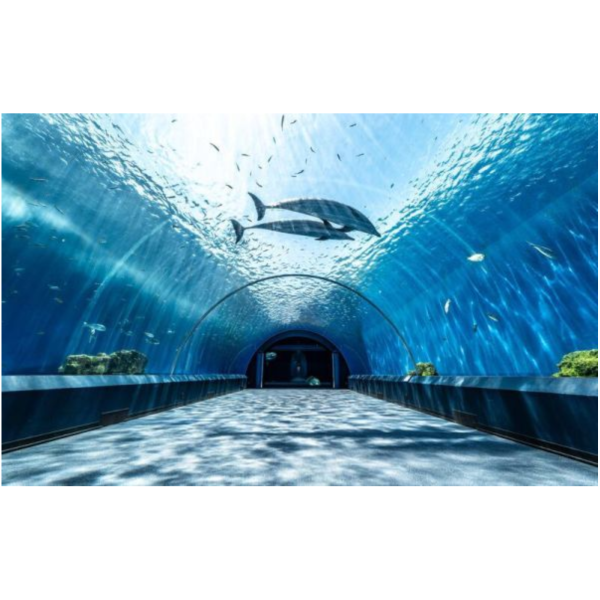 銀鏡つかさ 日本水族館寫真集 「水族館的美麗生物們 Aquarium Gradation」*5/2發售! 銀鏡つかさ,日本,水族館,寫真集,水族館的美麗生物們,Aquarium Gradation,水族館の美しい生きものたち