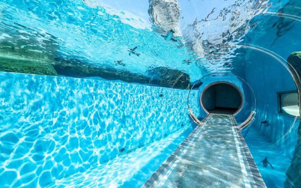銀鏡つかさ 日本水族館寫真集 「水族館的美麗生物們 Aquarium Gradation」*5/2發售! 銀鏡つかさ,日本,水族館,寫真集,水族館的美麗生物們,Aquarium Gradation,水族館の美しい生きものたち