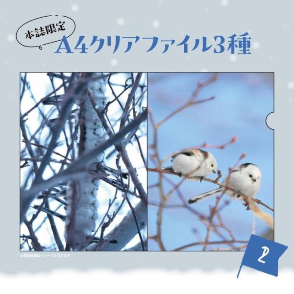 寶島社 雪之妖精 銀喉長尾山雀 迷你寫真集 シマエナガ 附:3款資料夾 BOOK *3/4發售! 寶島社,雪之妖精,銀喉長尾山雀,寫真集,シマエナガ,
雪の妖精,シマエナガクリアファイル