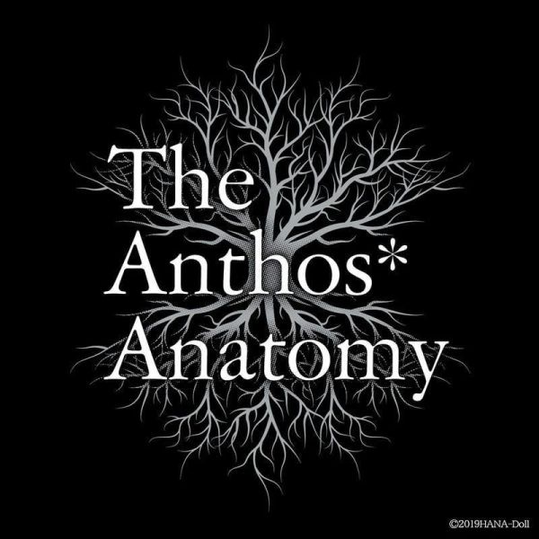 各店家特典版 公式設定資料集 華Doll* The Anthos* Anatomy 附DVD 早期特典0417截止*6/26發售! 店家特典,公式,設定,資料集,華Doll*,The Anthos*,Anatomy,DVD