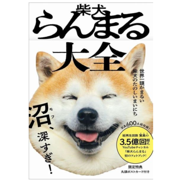 丸頭製作所 柴犬 蘭丸 RANMARU大全 「世界一頭がまるい柴犬のたのしいまいにち」 *5/22發售! 丸頭製作所,柴犬,蘭丸,RANMARU大全,世界一頭がまるい柴犬のたのしいまいにち