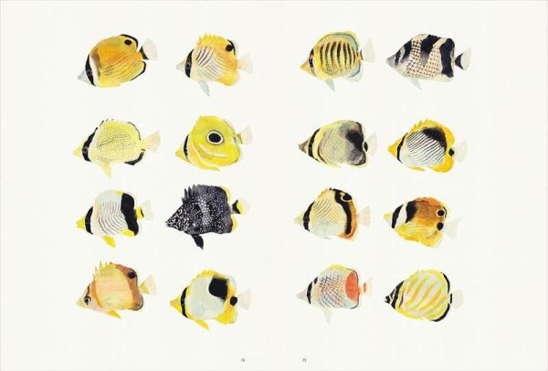 長嶋祐成 作品集 畫集「魚の譜」*8/25發售! 長嶋祐成,作品集,畫集,魚の譜,画集
