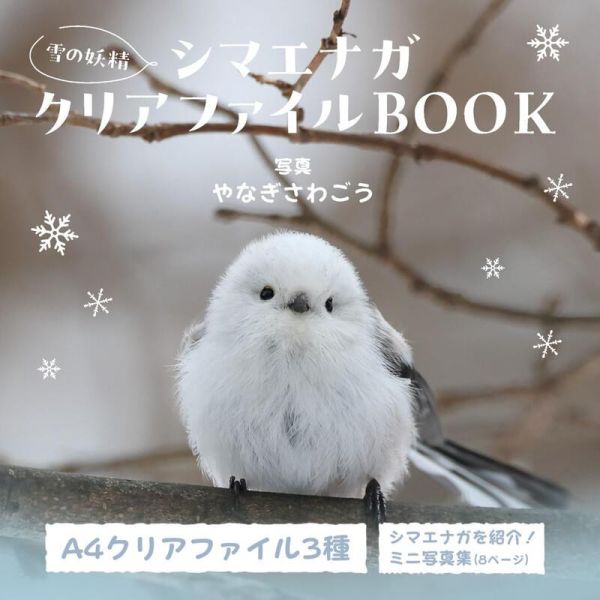 寶島社 雪之妖精 銀喉長尾山雀 迷你寫真集 シマエナガ 附:3款資料夾 BOOK *3/4發售! 寶島社,雪之妖精,銀喉長尾山雀,寫真集,シマエナガ,
雪の妖精,シマエナガクリアファイル