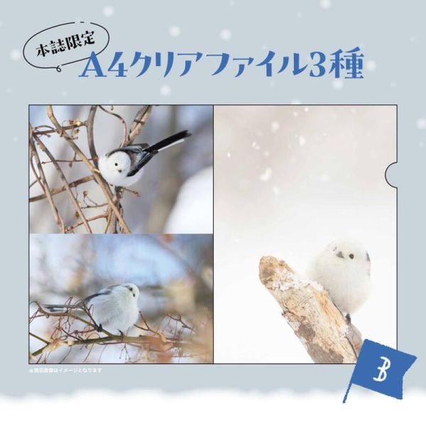 寶島社 雪之妖精 銀喉長尾山雀 迷你寫真集 シマエナガ 附:3款資料夾 BOOK *3/4發售! 寶島社,雪之妖精,銀喉長尾山雀,寫真集,シマエナガ,
雪の妖精,シマエナガクリアファイル