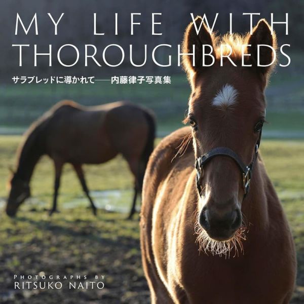 日本賽馬 內藤律子 攝影寫真集「純種馬的指引」*12/10發售! 日本,賽馬,內藤律子,攝影,寫真集,純種馬的指引,サラブレッドに,写真集