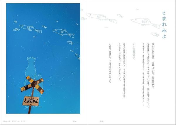 sara 插畫寫真作品集「君と紡ぐ日々　〜彼女が僕の写真に落書きする〜」*3/24發售! sara 插畫寫真作品集「君と紡ぐ日々　〜彼女が僕の写真に落書きする〜」