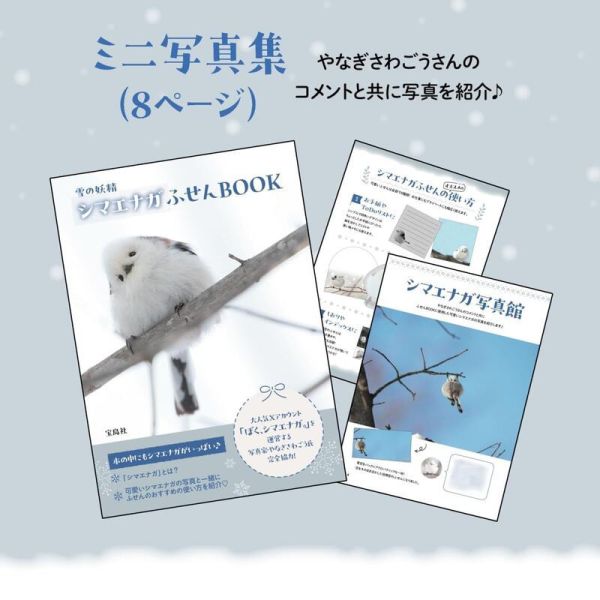 寶島社 雪之妖精 銀喉長尾山雀 便條紙BOOK 雪の妖精 シマエナガふせんBOOK*3/4發售! 寶島社,雪之妖精,銀喉長尾山雀,便條紙,雪の妖精,シマエナガふせん,BOOK