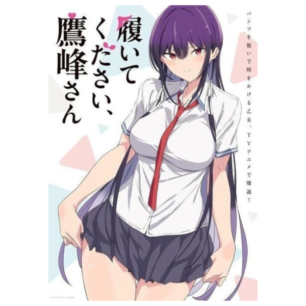 拜託請穿上，鷹峰同學 公式美術畫集 Visual Fan Book *9/26發售! 拜託請穿上,鷹峰同學,公式,美術,畫集,Visual Fan Book ,履いてください,鷹峰さん,公式,ビジュアル,ファンブック