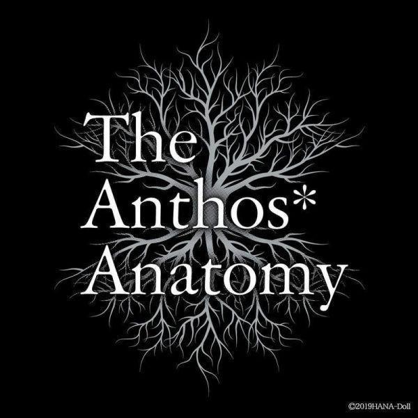 公式設定資料集 華Doll* The Anthos* Anatomy 附DVD *6/26發售! 公式,設定,資料集,華Doll*,The Anthos*,Anatomy,DVD