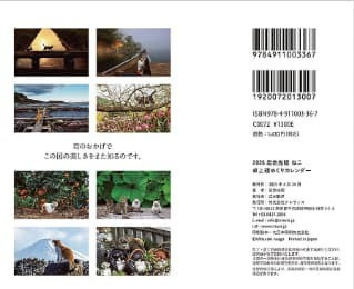 岩合光昭 貓咪 ねこ 2026年 桌上型月曆 桌曆 *9月中旬發售! 岩合光昭,貓咪,ねこ,2026年,桌上型,月曆,桌曆,ねこ,卓上,週めくり,カレンダー