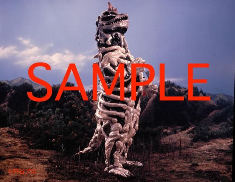 超人力霸王 怪獸劇照寫真檔案集 *2026/1/26發售! 超人力霸王,怪獸,劇照,寫真,檔案集,ウルトラマン,怪獣スチール,写真アーカイヴス