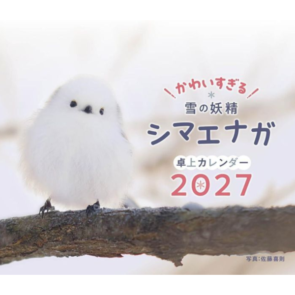 白色精靈 北長尾山雀 桌上型月曆 桌曆 2027年 かわいすぎる雪の妖精シマエナガ *9/14發售! 白色精靈,北長尾山雀,桌上型月曆,桌曆,2027年,かわいすぎる雪の妖精シマエナガ,佐藤喜則