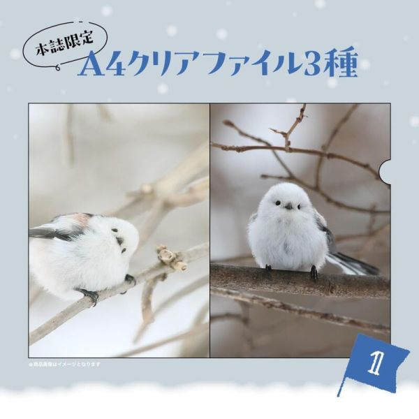 寶島社 雪之妖精 銀喉長尾山雀 迷你寫真集 シマエナガ 附:3款資料夾 BOOK *3/4發售! 寶島社,雪之妖精,銀喉長尾山雀,寫真集,シマエナガ,
雪の妖精,シマエナガクリアファイル