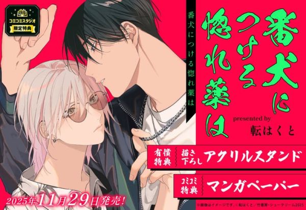 各店家特典版 日文漫畫 転はくと「番犬につける惚れ薬は」*11/29發售! 日文漫畫,店家特典,転はくと,番犬につける惚れ薬は
