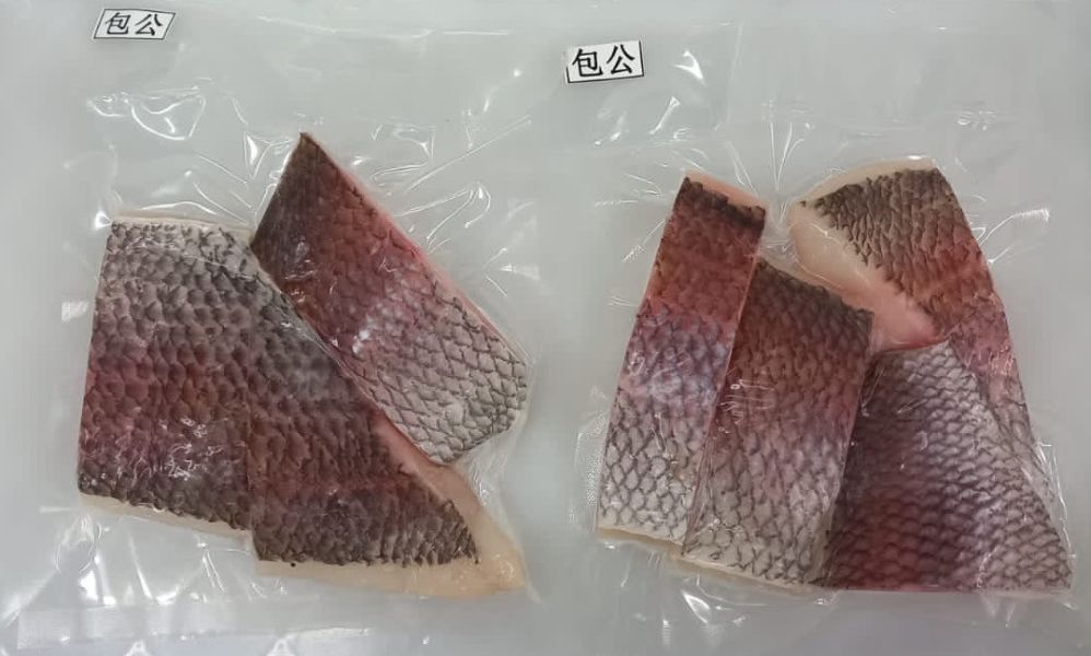 包公魚菲力(無刺)＊每份200克 黑鮪魚,黑尾魚臉頰肉,長尾鳥