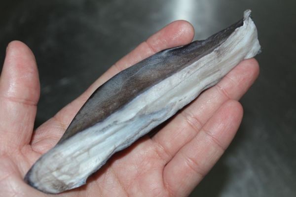 黑鮪鰭膠＊10公斤50包 黑鮪魚,黑尾魚臉頰肉