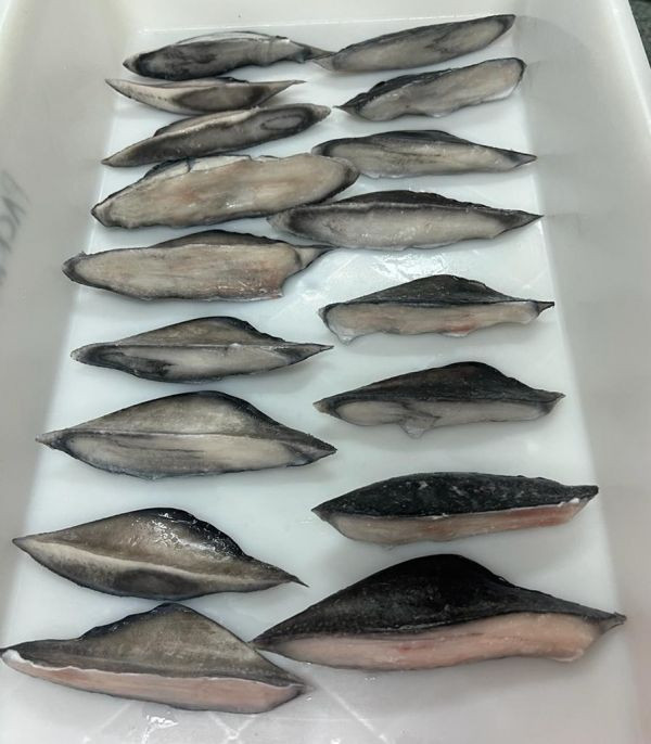 黑鮪鰭膠＊10公斤50包 黑鮪魚,黑尾魚臉頰肉