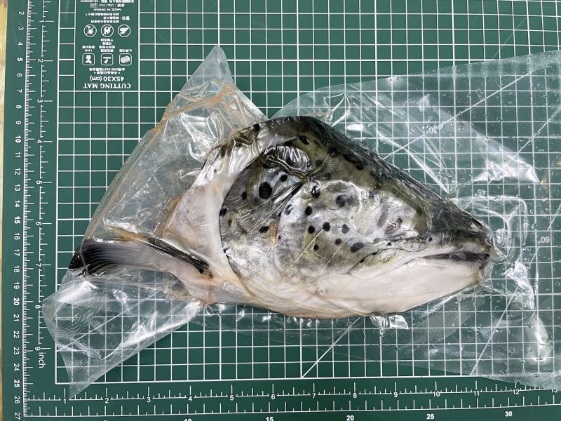 鮭魚頭一夜干＊每包350克＊易破真空 鮭魚頭,鮭魚頭一夜干