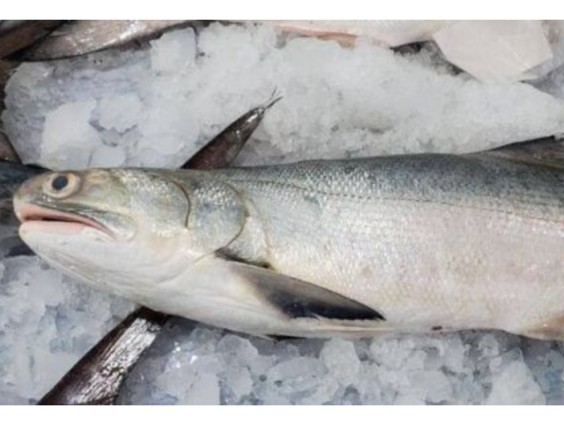 大午魚三去＊每包390克以上 帕頭仔,小黃魚,東港