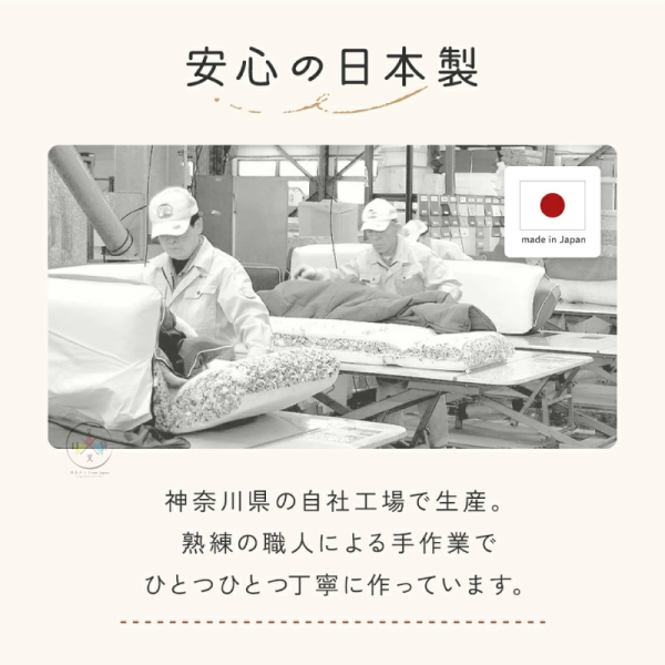 預購 拉拉熊 懶懶熊 懶妹 小雞 專賣店限定 大臉 圓形 靠墊 坐墊 抱枕 可拆洗 3選1 日本製 【4/16截止】 