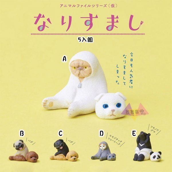 動物檔案 人氣裝扮篇 短毛貓 巴哥犬 黑熊 喵星人 汪星人 坐姿 公仔扭蛋 隨機1入 