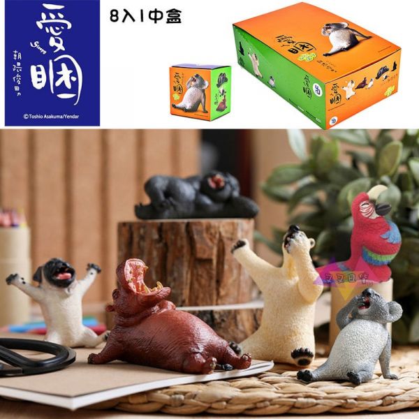 Anim Life愛睏動物無尾熊北極熊河馬猩猩巴哥隱藏公仔盒玩一中盒8入 