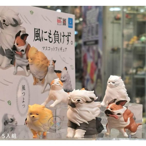 才不會輸給風的動物們 古代牧羊犬鬥牛犬博美三花貓波斯貓 扭蛋公仔擺飾 5入組 