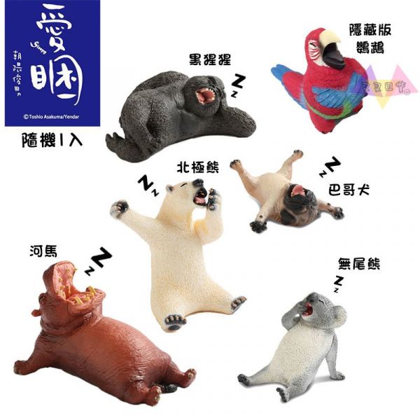 Anim Life愛睏動物無尾熊北極熊河馬黑猩猩巴哥犬隱藏公仔擺飾盒玩隨機1入 
