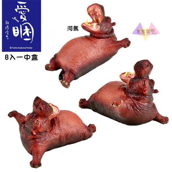 Anim Life愛睏動物無尾熊北極熊河馬猩猩巴哥隱藏公仔盒玩一中盒8入 