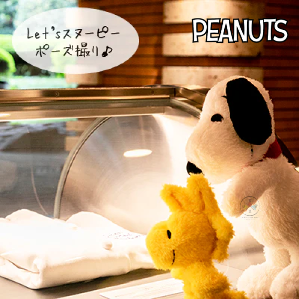 預購12月 SNOOPY 史努比 歐拉夫 糊塗塔克 專賣店限定 可動 關節 絨毛玩偶娃娃 3選1【12/4截止】 