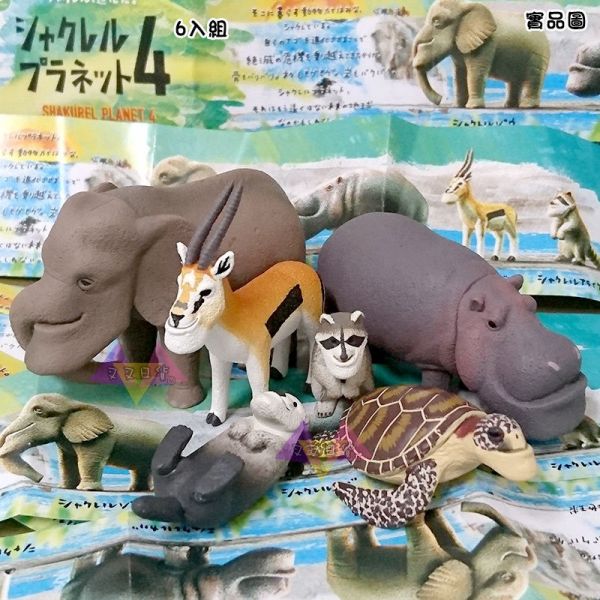 戽斗動物園4厚道星球大象河馬海龜海獺羚羊浣熊公仔擺飾扭蛋6入組 