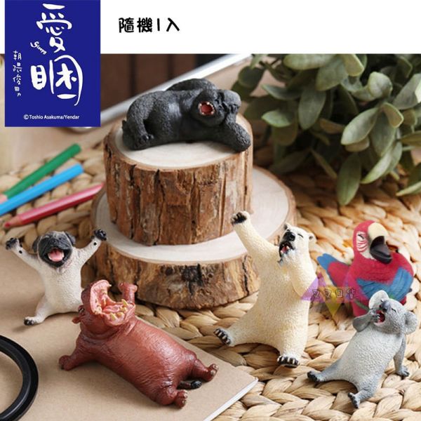 Anim Life愛睏動物無尾熊北極熊河馬黑猩猩巴哥犬隱藏公仔擺飾盒玩隨機1入 