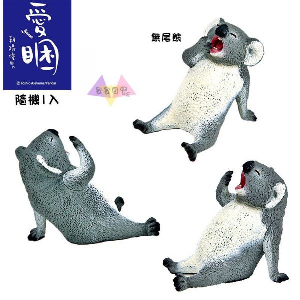 Anim Life愛睏動物無尾熊北極熊河馬黑猩猩巴哥犬隱藏公仔擺飾盒玩隨機1入 