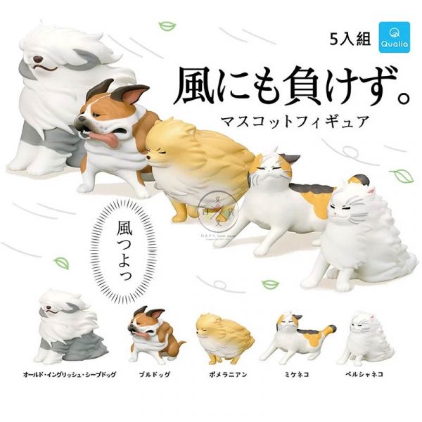 才不會輸給風的動物們 古代牧羊犬鬥牛犬博美三花貓波斯貓 扭蛋公仔擺飾 5入組 