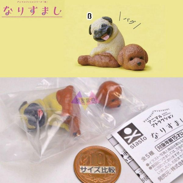 動物檔案 人氣裝扮篇 短毛貓 巴哥犬 黑熊 喵星人 汪星人 坐姿 公仔扭蛋 隨機1入 