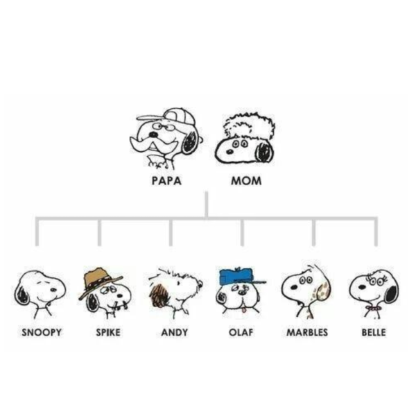 預購 史努比 歐拉夫 日本正版 代購下單 