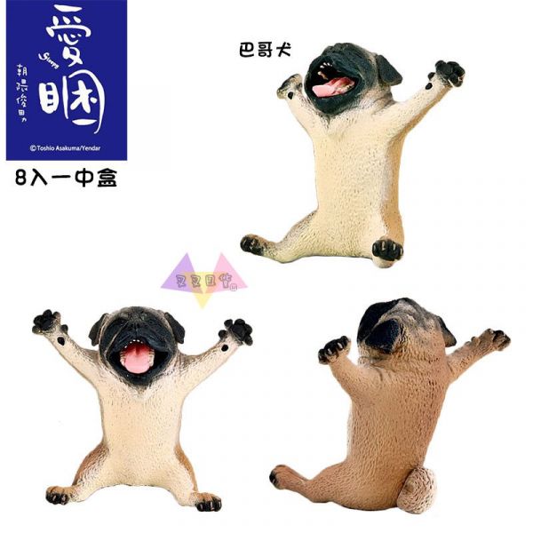 Anim Life愛睏動物無尾熊北極熊河馬猩猩巴哥隱藏公仔盒玩一中盒8入 