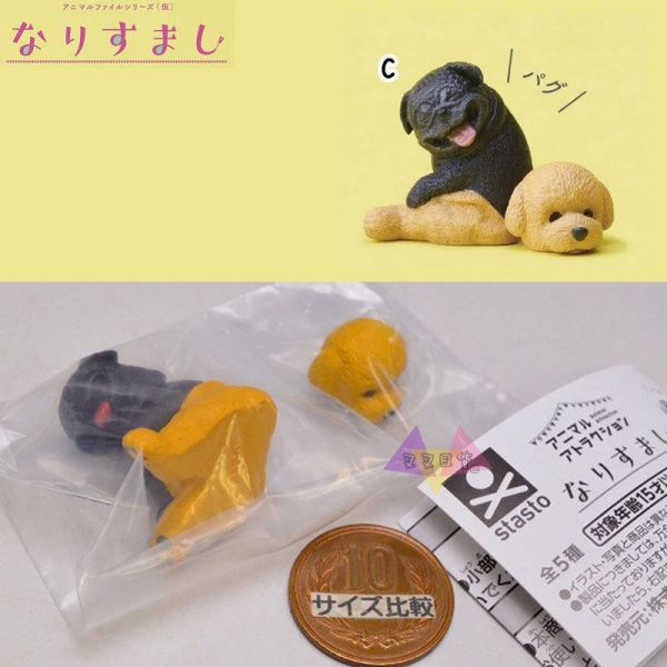 動物檔案 人氣裝扮篇 短毛貓 巴哥犬 黑熊 喵星人 汪星人 坐姿 公仔扭蛋 隨機1入 
