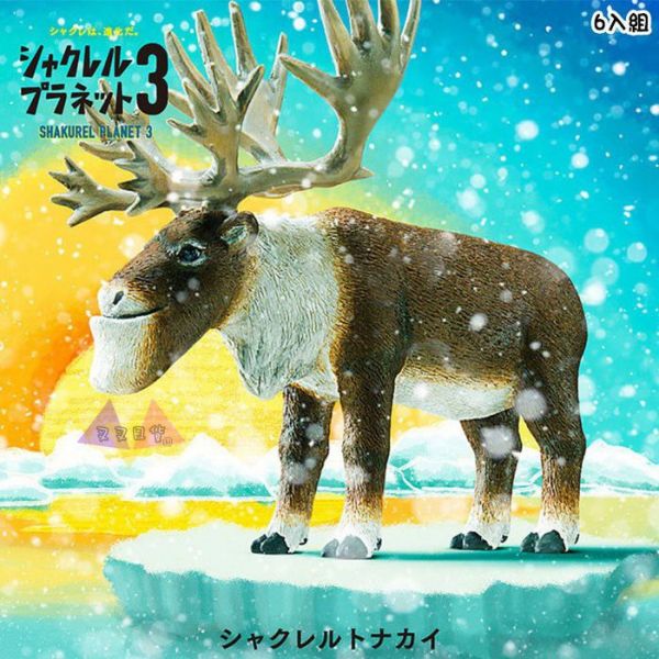 戽斗動物園3厚道北極熊馴鹿海豹狼國王企鵝白鼬熊貓之穴公仔扭蛋6入組 