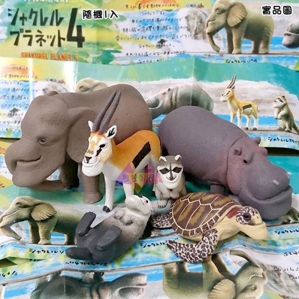 戽斗動物園4厚道星球大象河馬海龜海獺羚羊浣熊公仔擺飾扭蛋隨機1入 