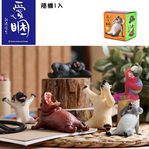 Anim Life愛睏動物無尾熊北極熊河馬黑猩猩巴哥犬隱藏公仔擺飾盒玩隨機1入 