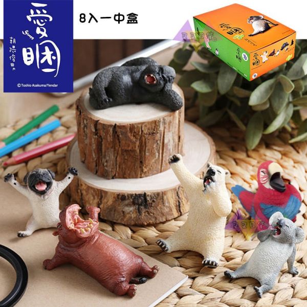 Anim Life愛睏動物無尾熊北極熊河馬猩猩巴哥隱藏公仔盒玩一中盒8入 