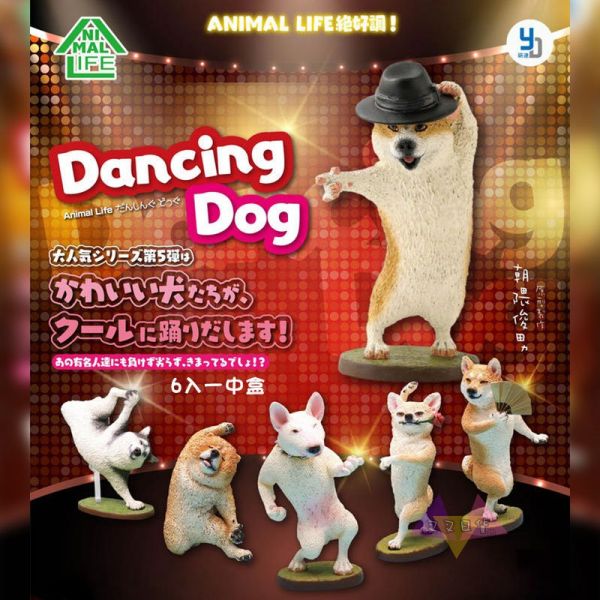 Anim Life狗舞蹈大師汪星人公仔擺飾盒玩6款一套 