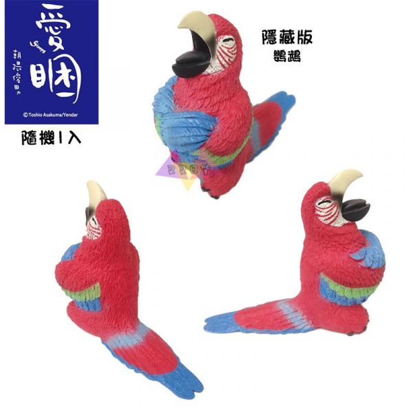 Anim Life愛睏動物無尾熊北極熊河馬黑猩猩巴哥犬隱藏公仔擺飾盒玩隨機1入 
