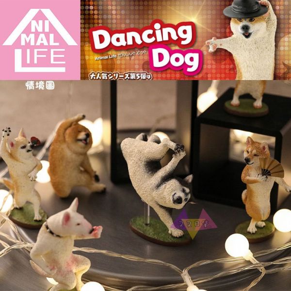Anim Life狗舞蹈大師汪星人公仔擺飾盒玩6款一套 