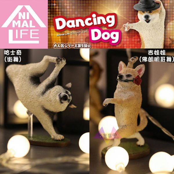 Anim Life狗舞蹈大師汪星人公仔擺飾盒玩6款一套 